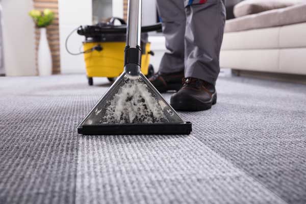 Professional Carpet Cleaning Image Professional Carpet Cleaning Services