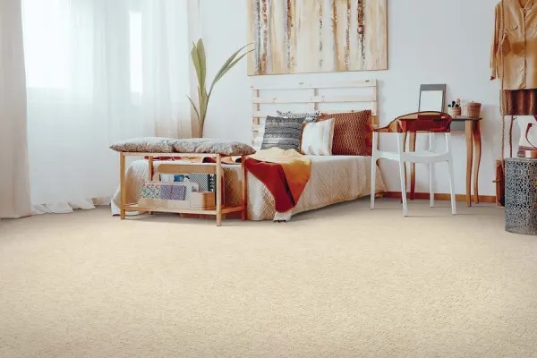 Plush Carpet Pros Cons Image